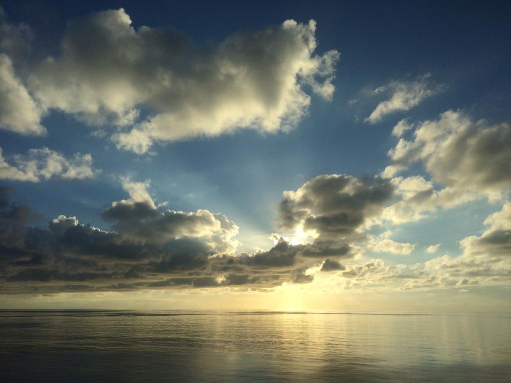 Apartment With Fantastic Sea View オデッサ 部屋 写真
